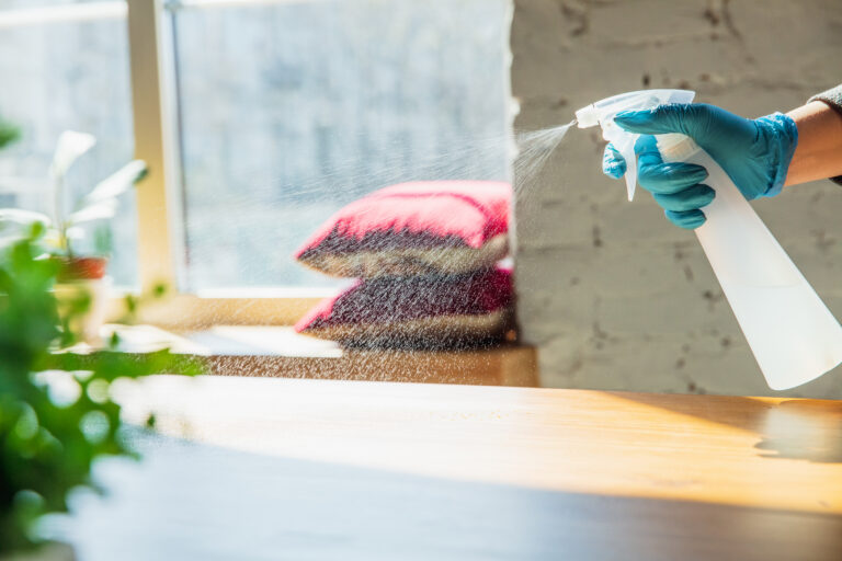 spray bottle cleaning table